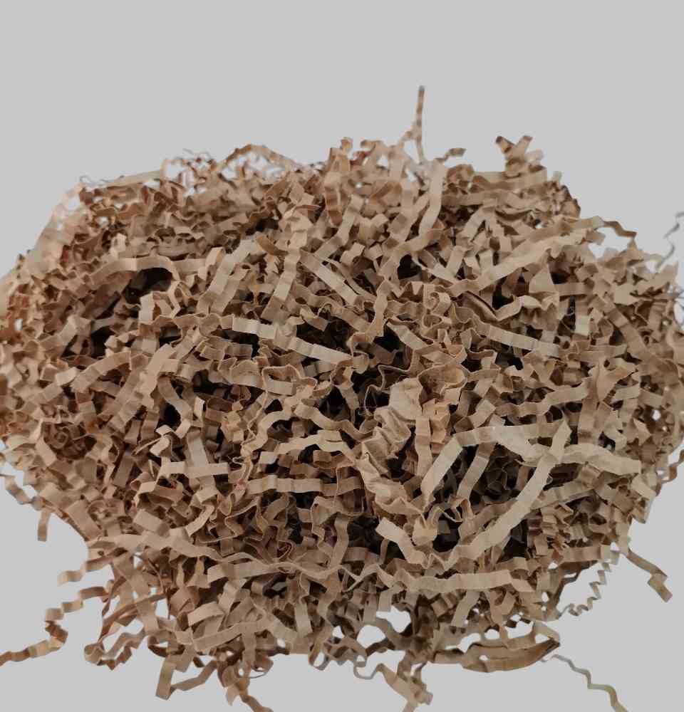 IMG_20260228_154147-Photoroom